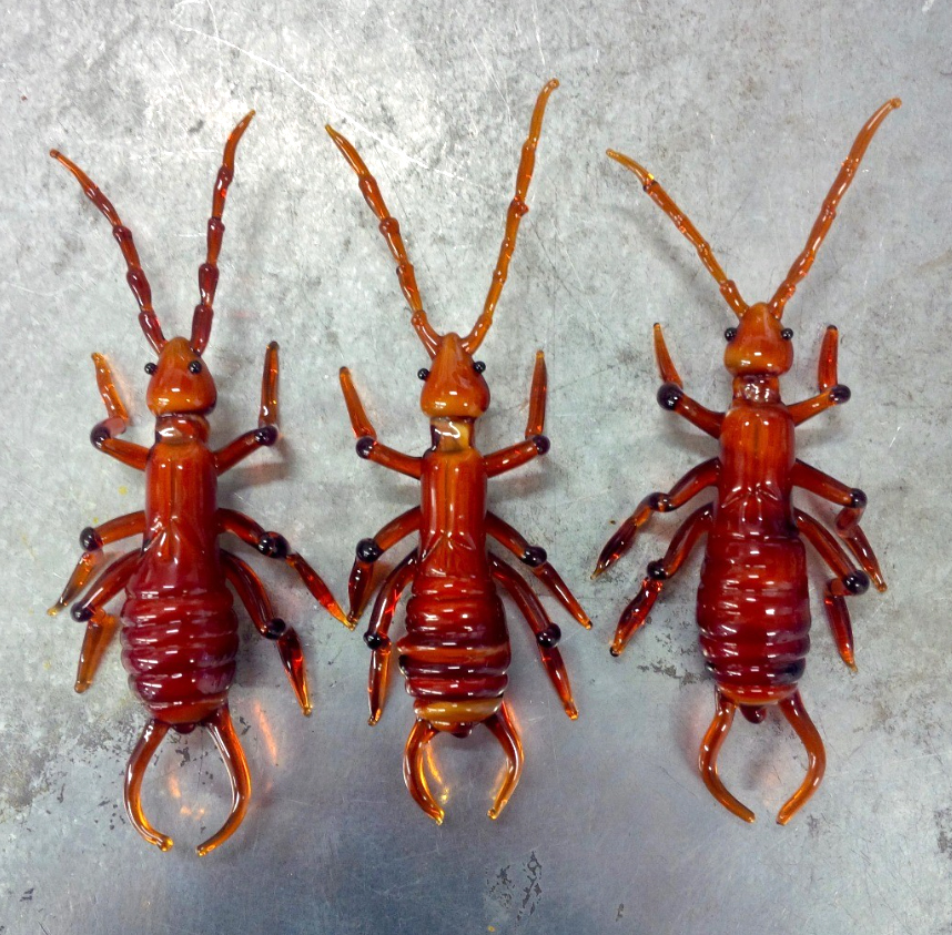 Krabbeltiere Insekten aus Glas